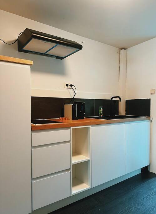 Historic Serenity Apartment Gent Екстериор снимка